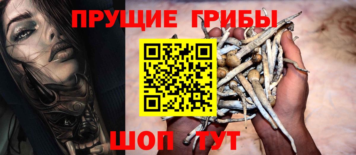Краснознаменск  Галлюциногенные грибы Magic Shrooms  Вход с VPN  Галлюциногенные грибы GOLDEN TEACHER 